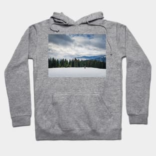 Fir forest on the snowy hills Hoodie